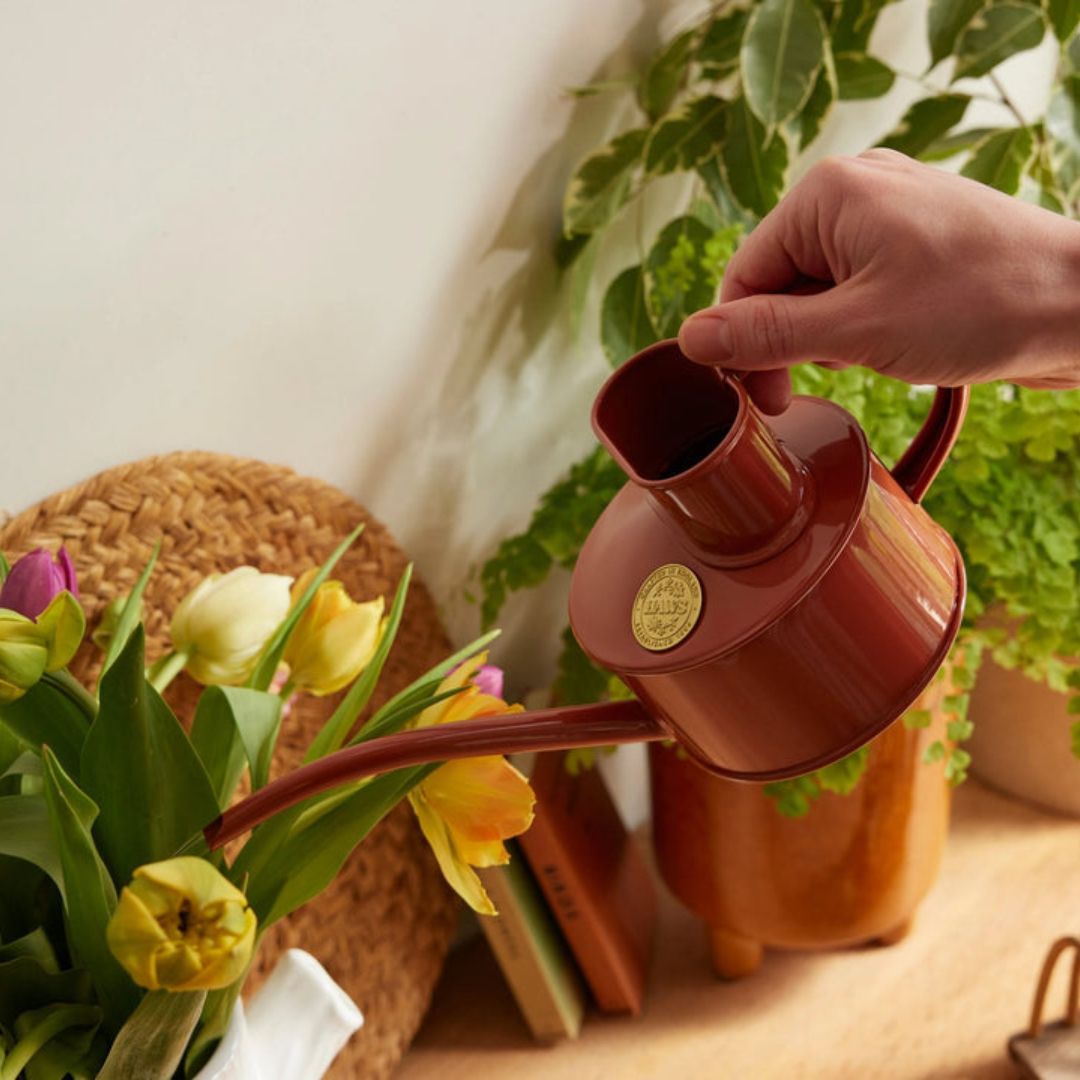 HAWS庹0.7Lƥ饳å󥸡ѥ