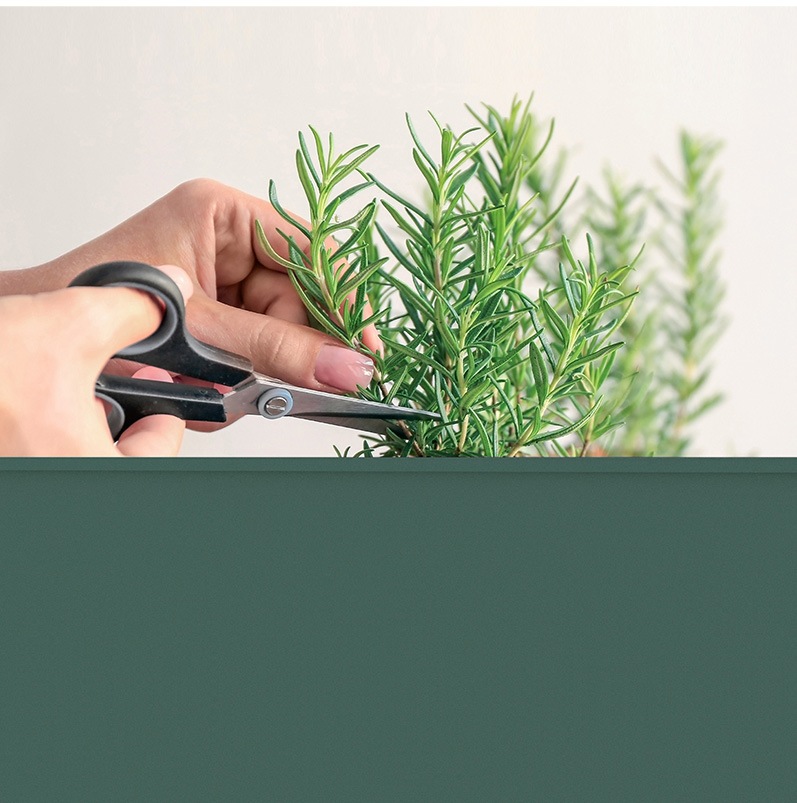 ǥ󥰥ץ󥿡桡åۥ॰꡼