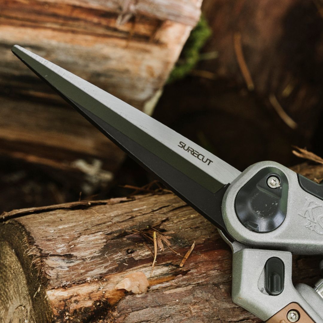 K&S�������ǥ˥�����Ф��ߡ���������ѡ��ȥ�ߥ󥰡�6������