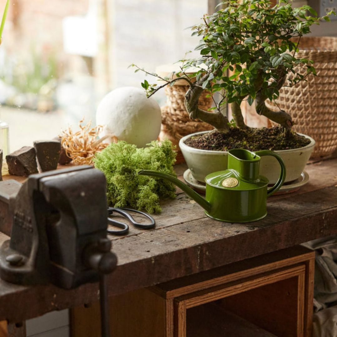 HAWS庹0.7Lե󥰥꡼󡡥ѥ