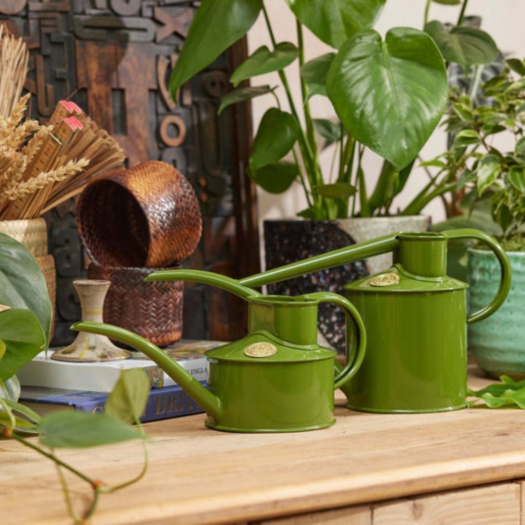 HAWS庹0.7Lե󥰥꡼󡡥ѥ