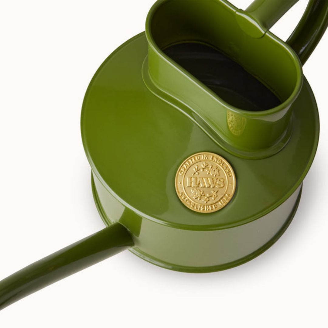 HAWS庹0.7Lե󥰥꡼󡡥ѥ