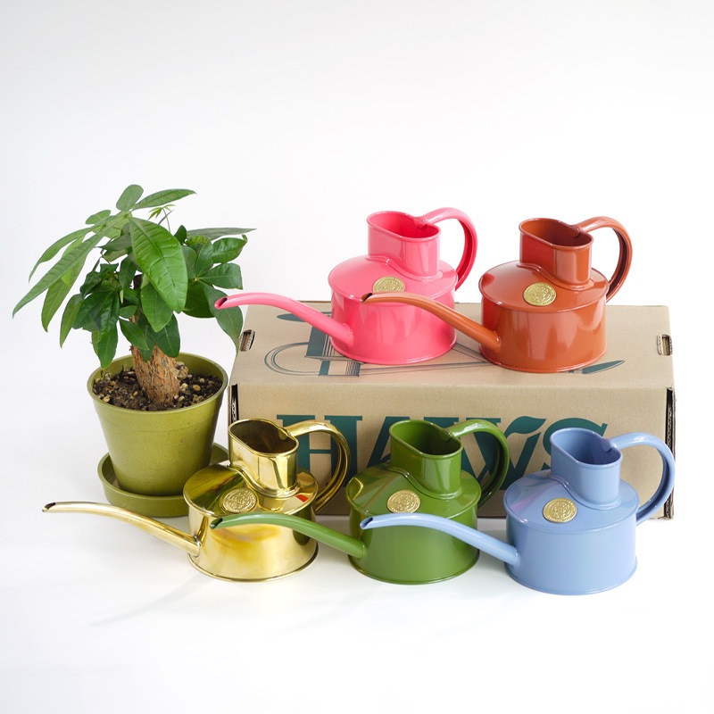 HAWS庹0.7Lե󥰥꡼󡡥ѥ