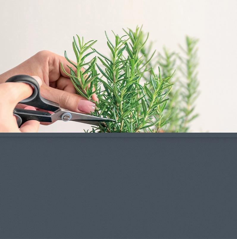 ������ǥ��󥰥ץ�󥿡��������桡��å������󥹥饵����