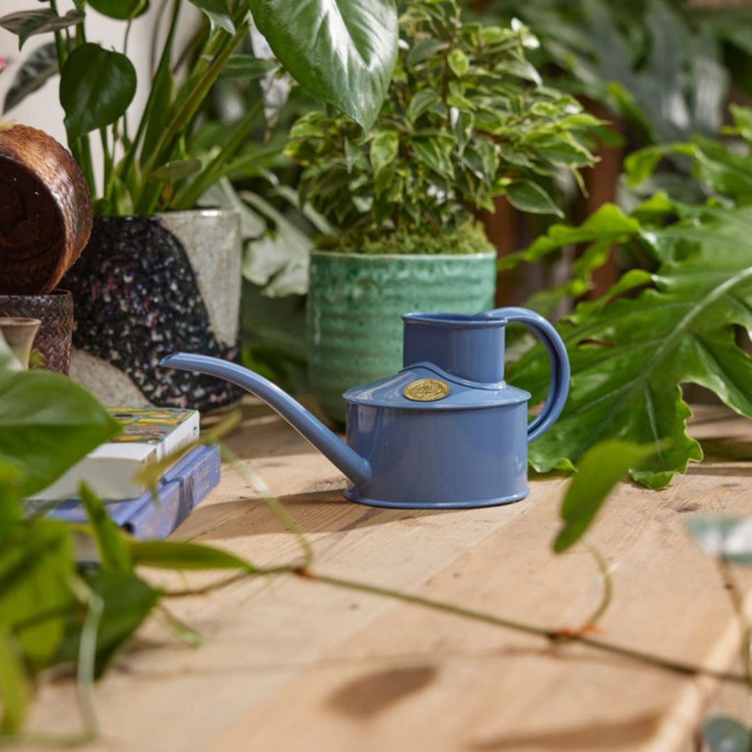 HAWS庹0.7L֥롼٥ɥѥ