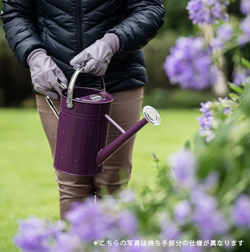 50OFFڥȥåȡK&S᥿른祦 4.5Lĥɥ꡼