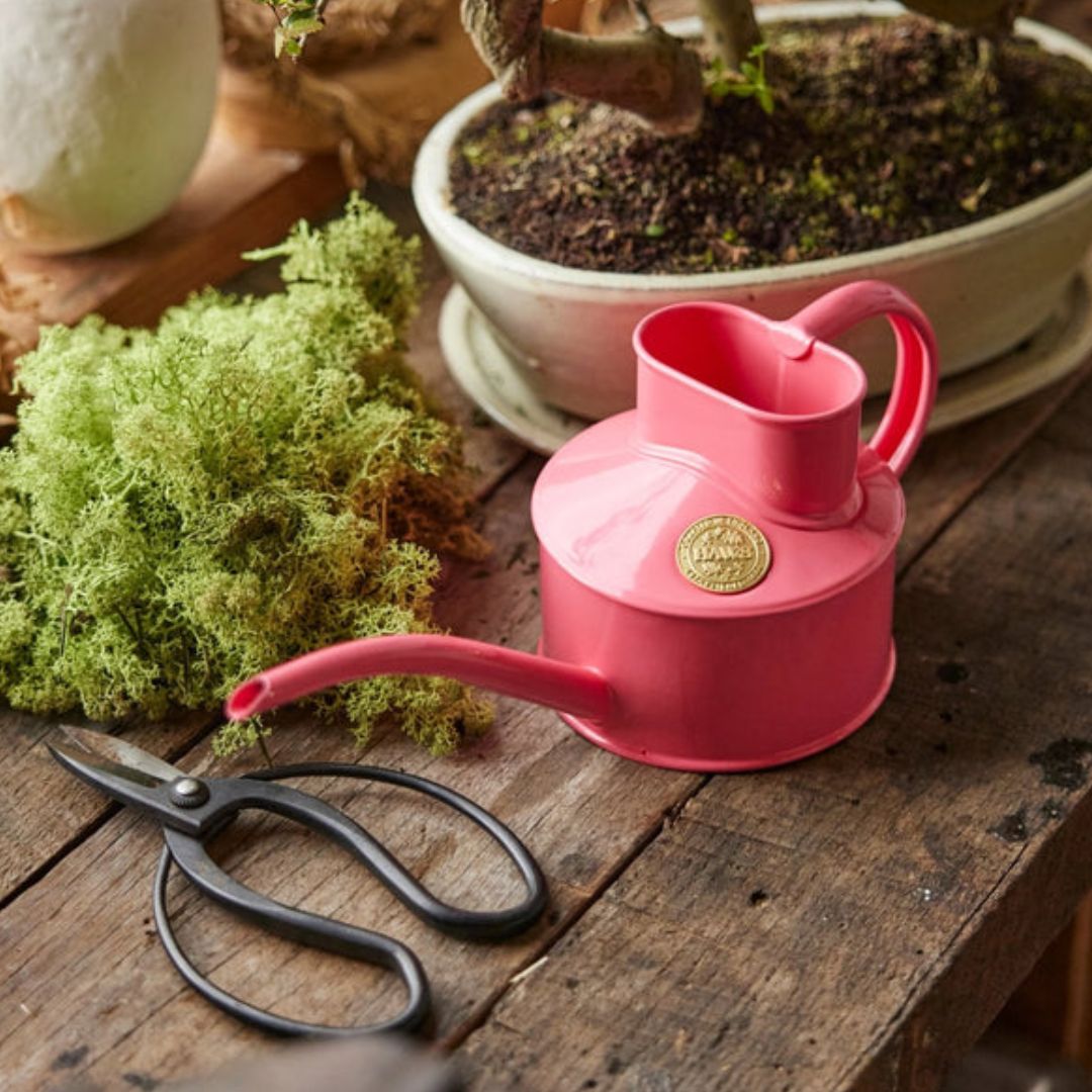 HAWS庹0.7Lڥåѡԥ󥯡ѥ