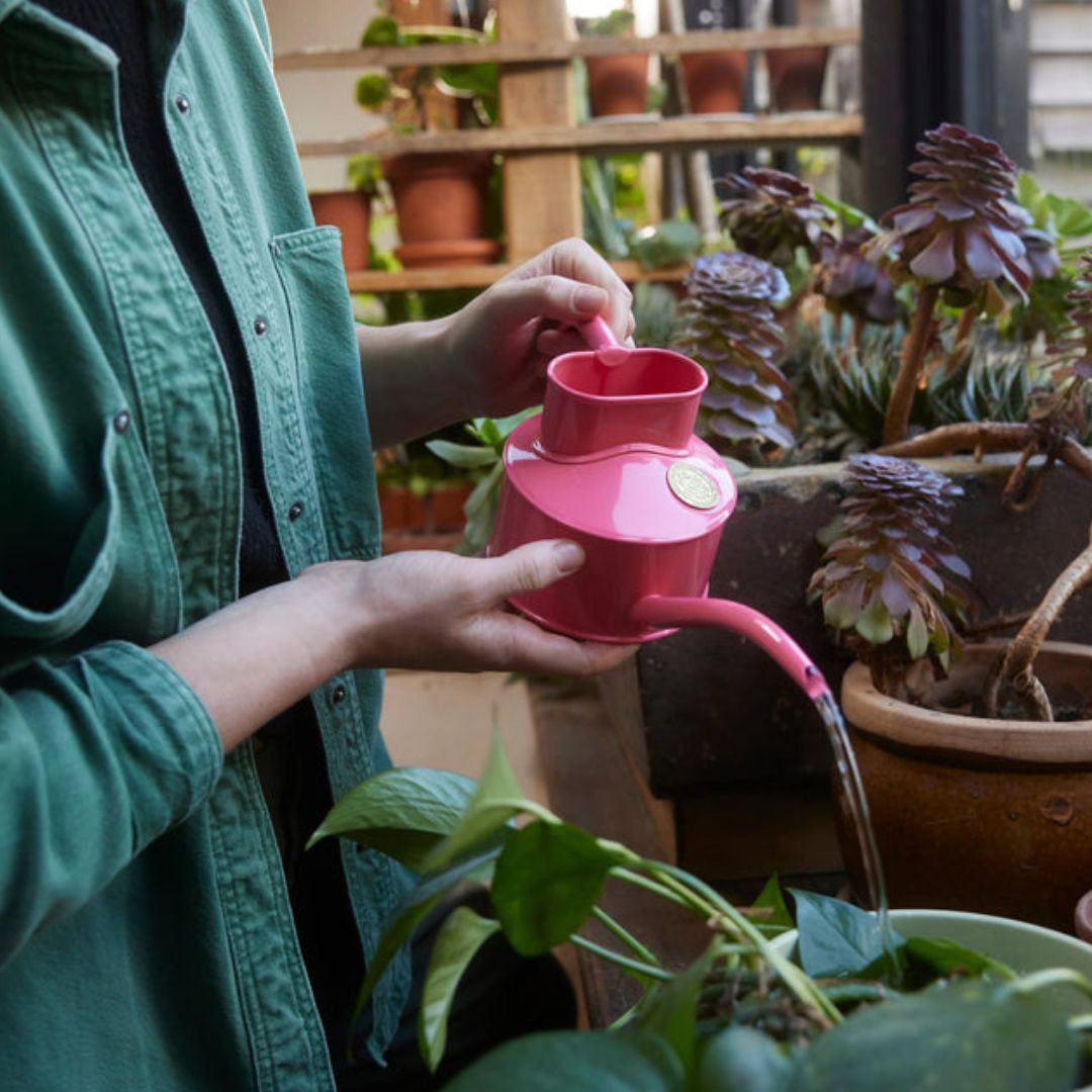 HAWS庹0.7Lڥåѡԥ󥯡ѥ