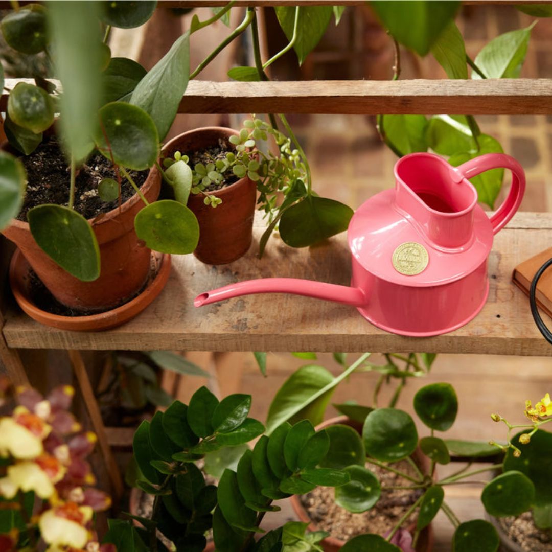 HAWS庹0.7Lڥåѡԥ󥯡ѥ