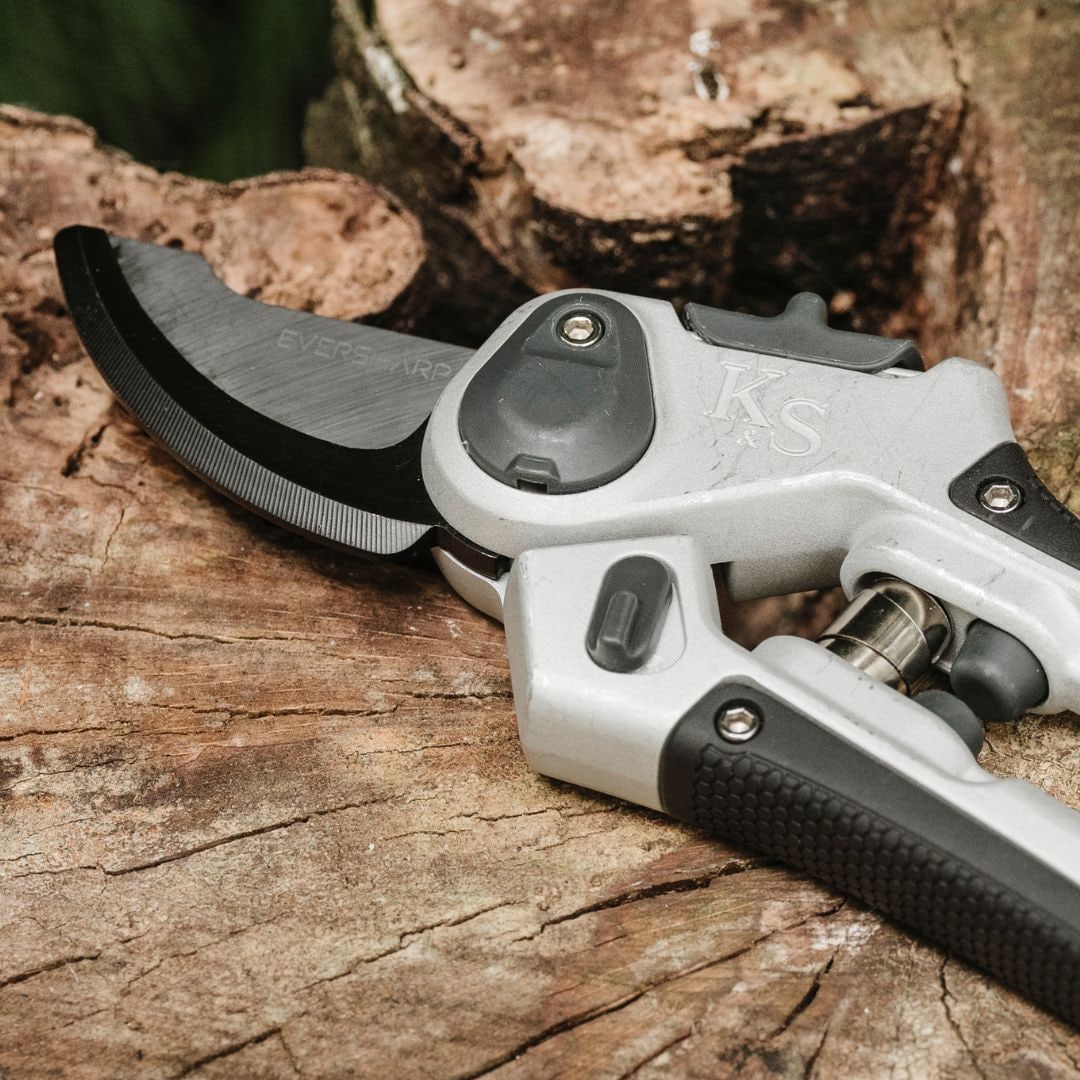 K&S ���С����㡼�ס�¿���ӡ������ǥ˥�����Ф��ߡ� 24mm