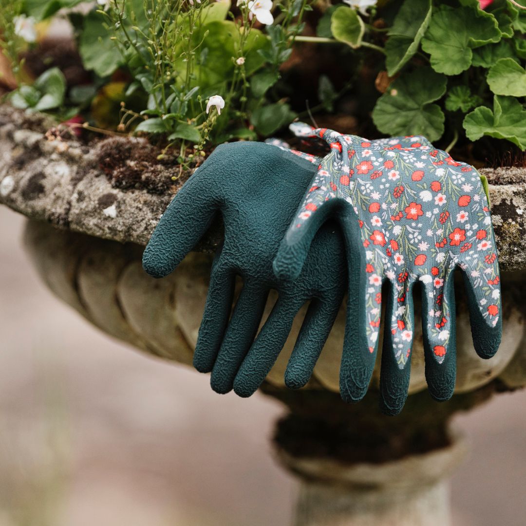 K&S ǥ˥󥰥֡3åȡߤդ