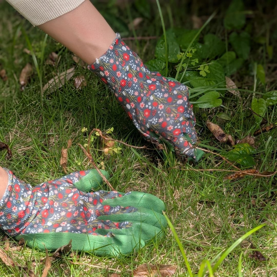 K&S ǥ˥󥰥֡3åȡߤդ