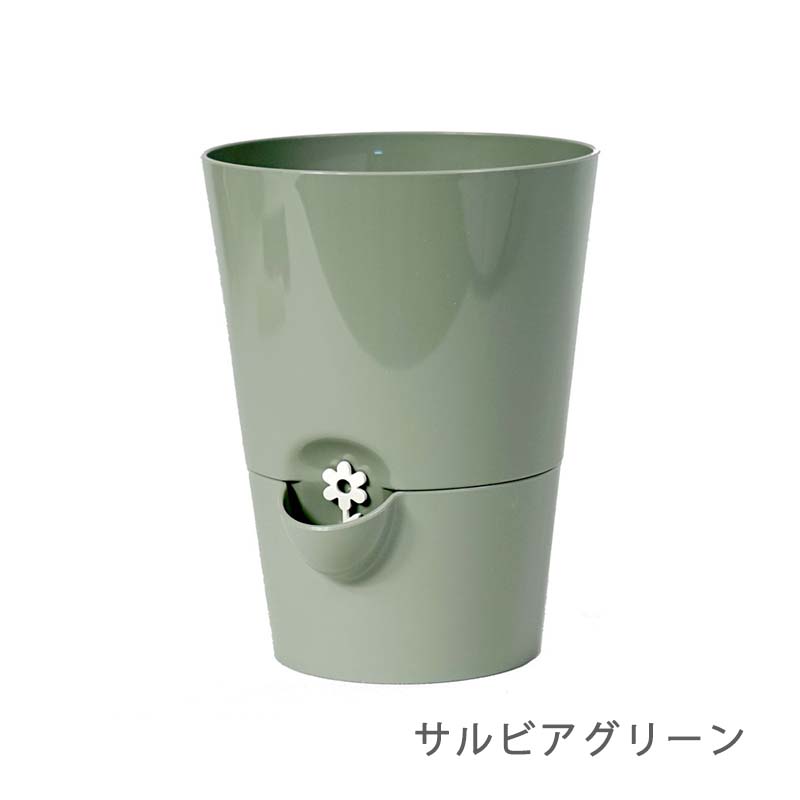 ưϡ֥ݥåȡ極ӥ꡼