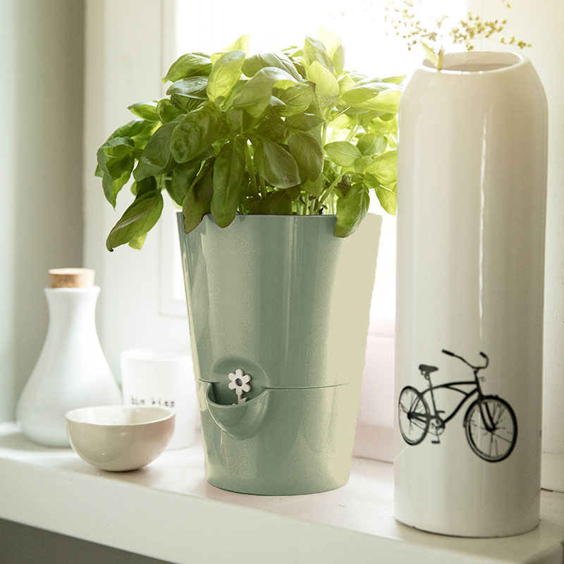 ưϡ֥ݥåȡ極ӥ꡼