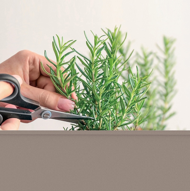 ������ǥ��󥰥ץ�󥿡��������桡��å����������ȡ���