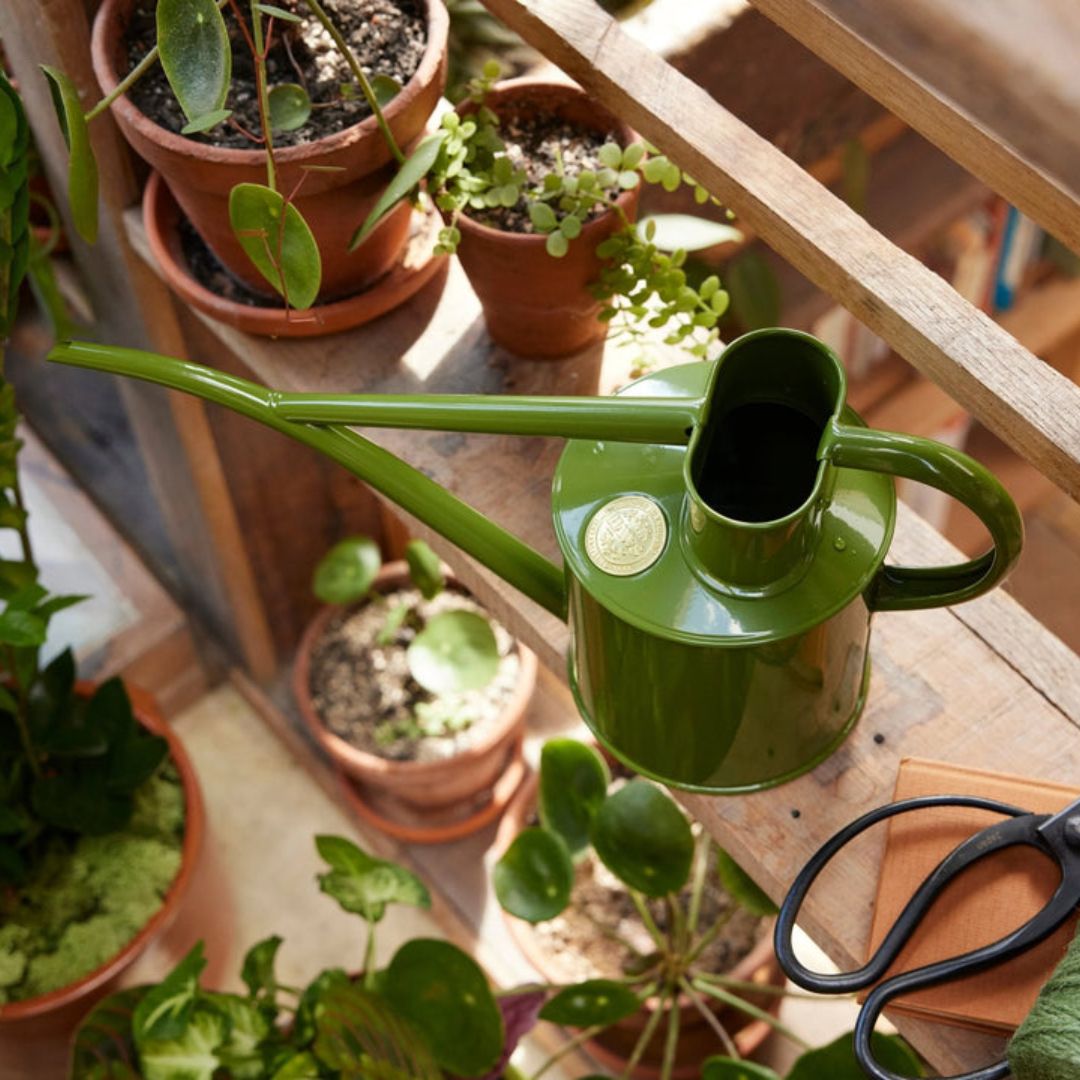 HAWS���庹������L���ե����󥰥꡼��