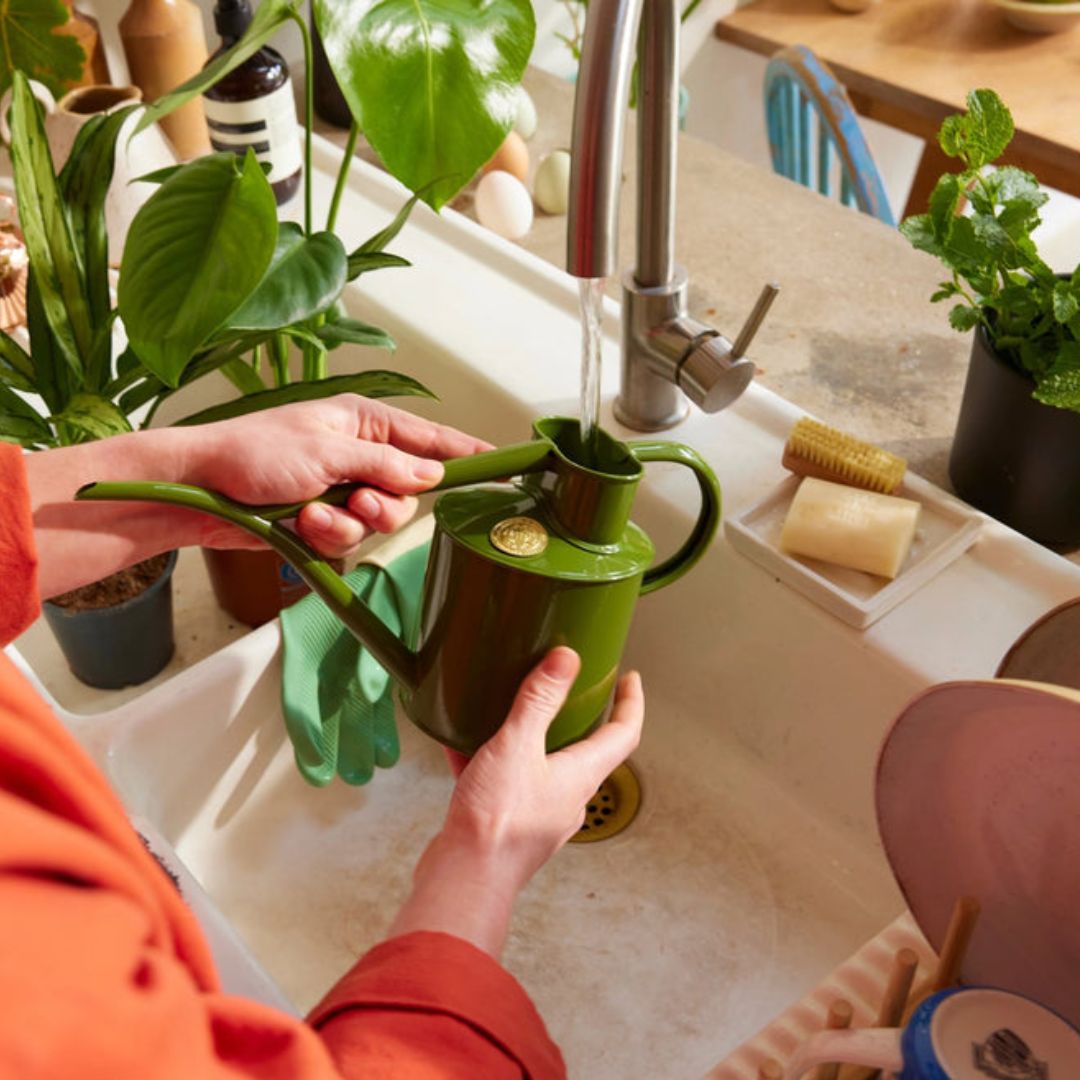 HAWS���庹������L���ե����󥰥꡼��