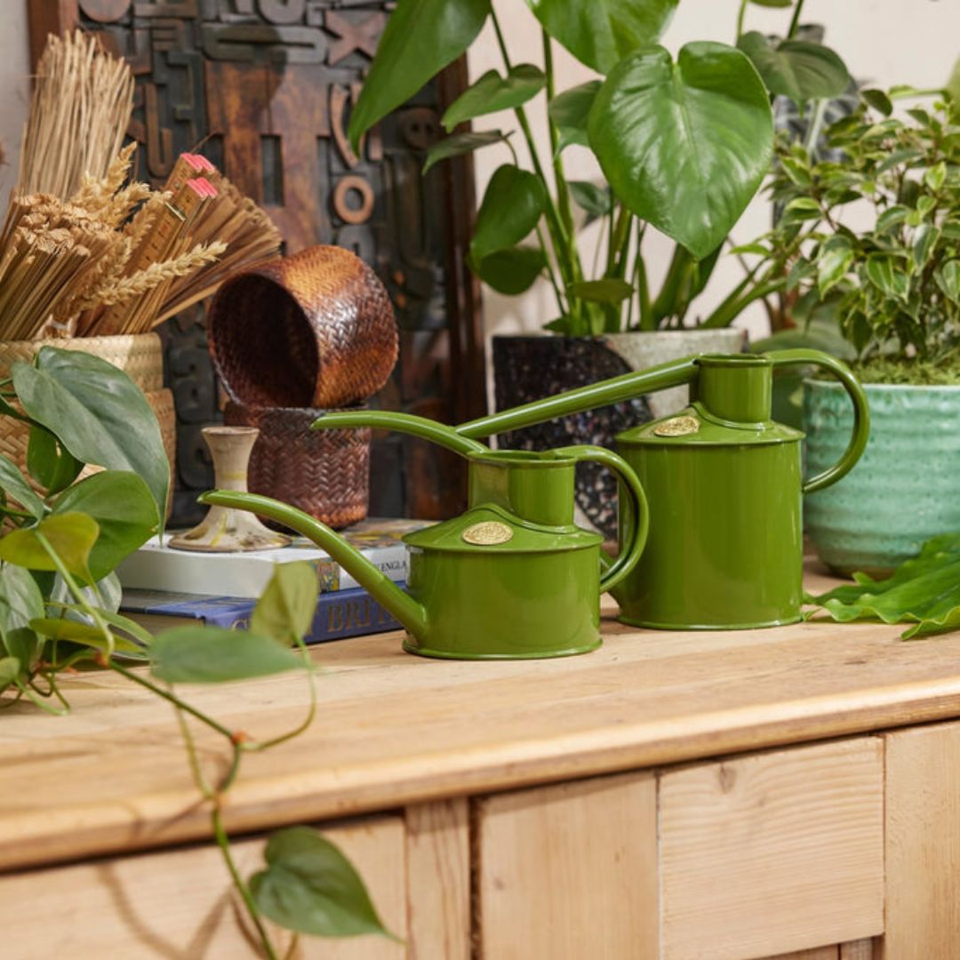 HAWS���庹������L���ե����󥰥꡼��