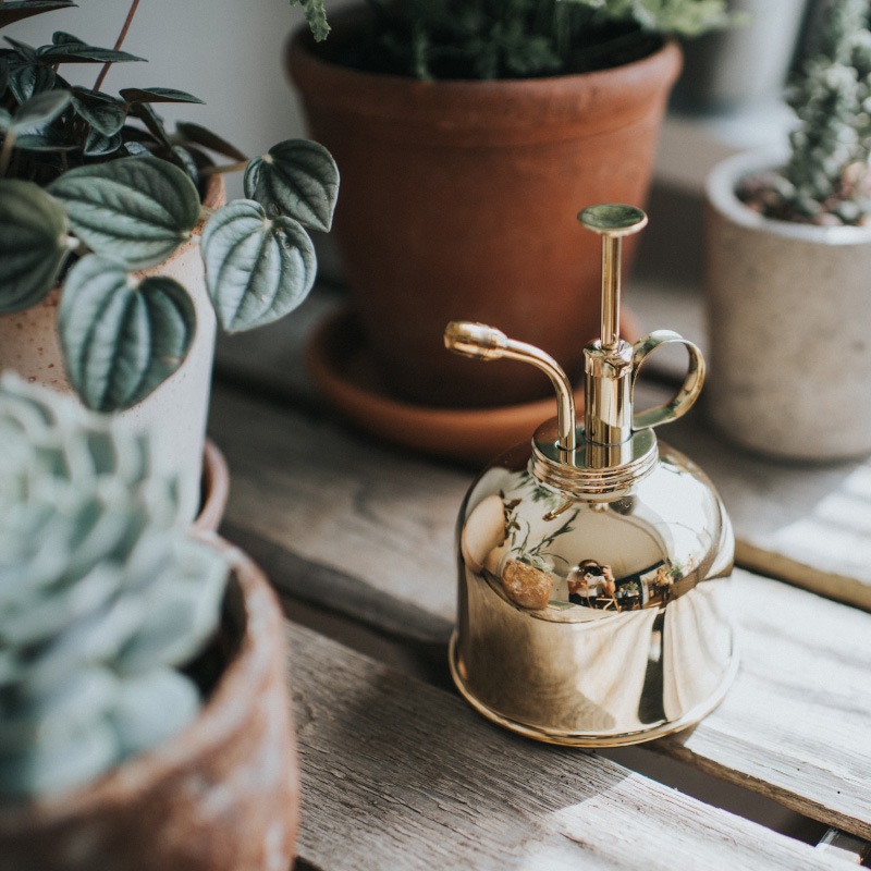 HAWS﫥ߥȥץ졼300l֥饹