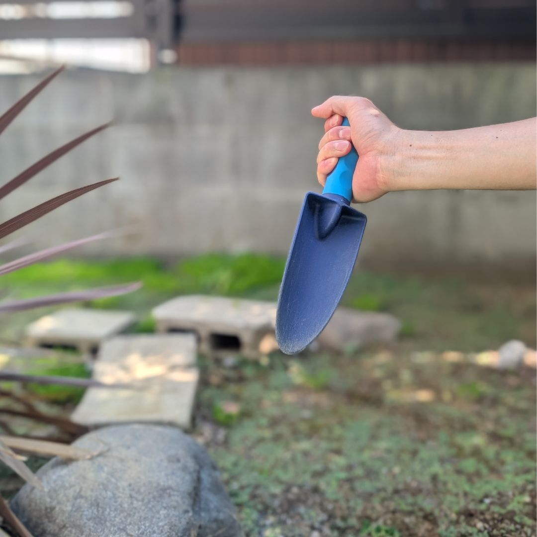 �ʹֹ��إ���٥롡�륳���֥롼