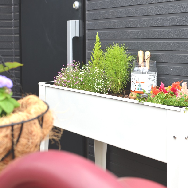 ������ǥ��󥰥ץ�󥿡������å��������桡��å����ڡ��륫�顼�ߥå���