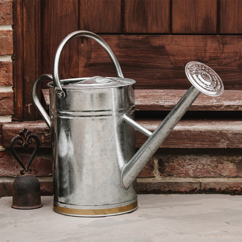 50OFFڥȥåȡK&S̥᥿른祦 9L Хʥ