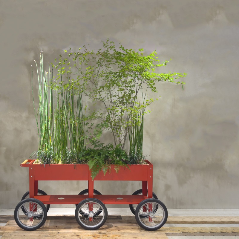 �緿��ư�����ݥץ�󥿡���6�إȥ����꡼�若�󡡥�å�