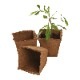 SALE10%OFFۤΤޤ޿եСݥåȡͳѡ8cm12ĥåȡʬȭ