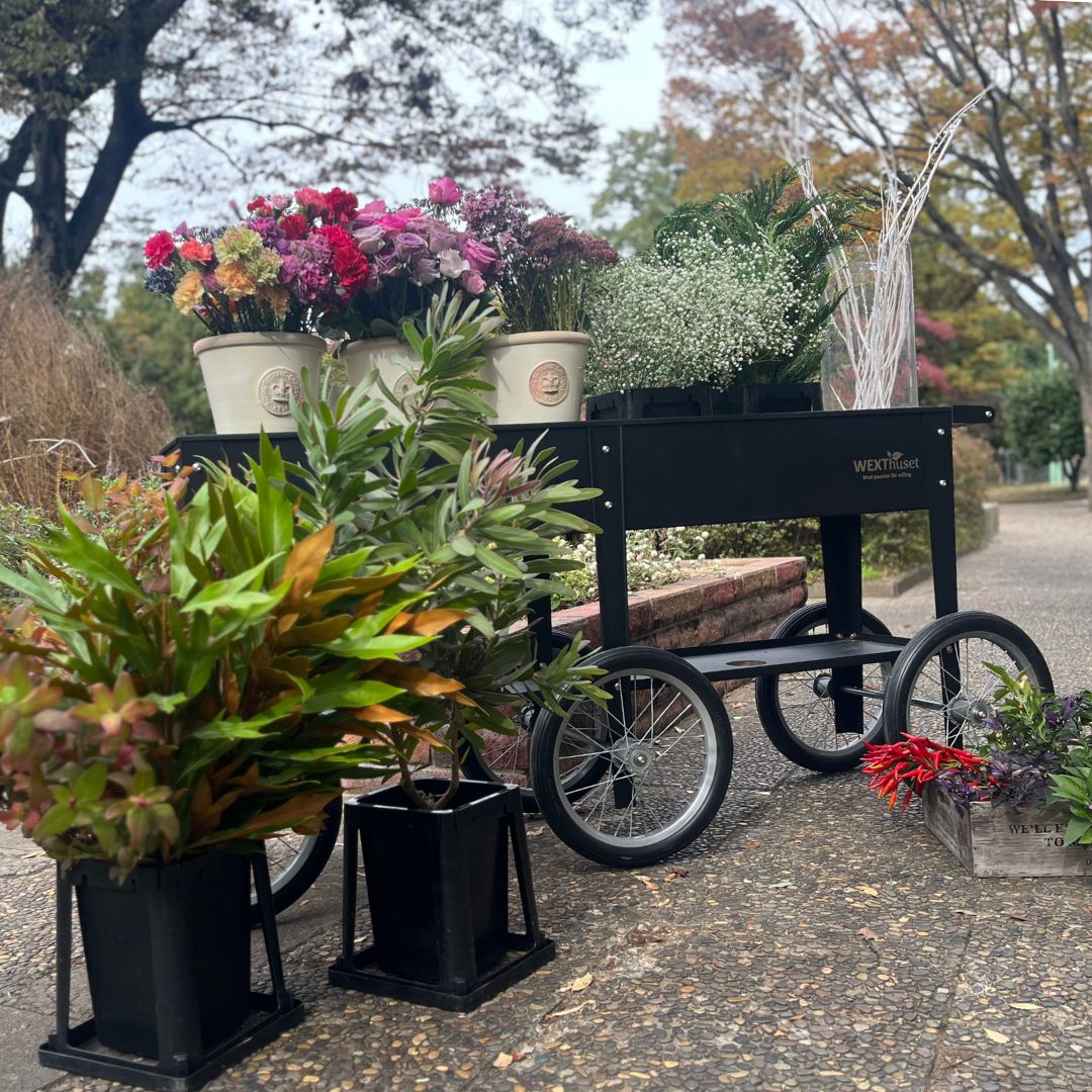 �緿��ư�����ݥץ�󥿡���6�إȥ����꡼�若�󡡥֥�å�