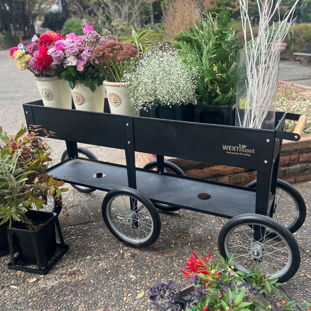 �緿��ư�����ݥץ�󥿡���6�إȥ����꡼�若�󡡥֥�å�