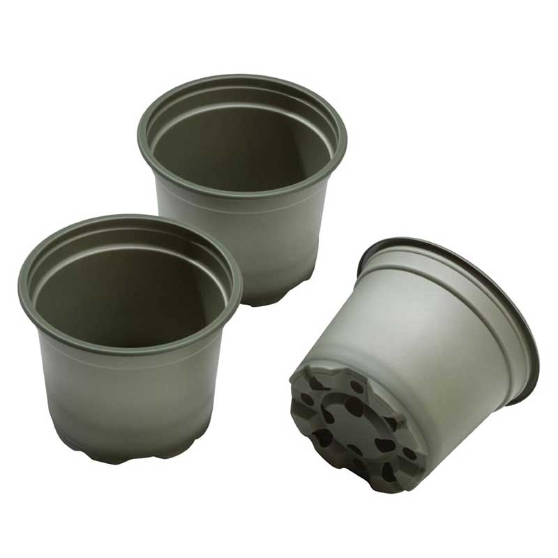 �ڤ˴Ԥ�Х����ݥåȡ��ݷ���9cm ��5�ĥ��åȡ���ʬ������ȭ