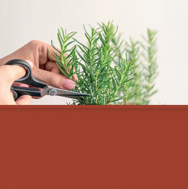 ǥ󥰥ץ󥿡桡ååɥ