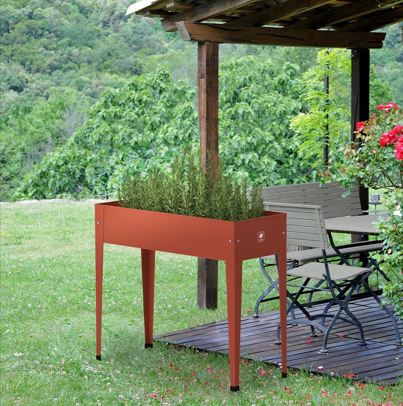 ǥ󥰥ץ󥿡桡ååɥ