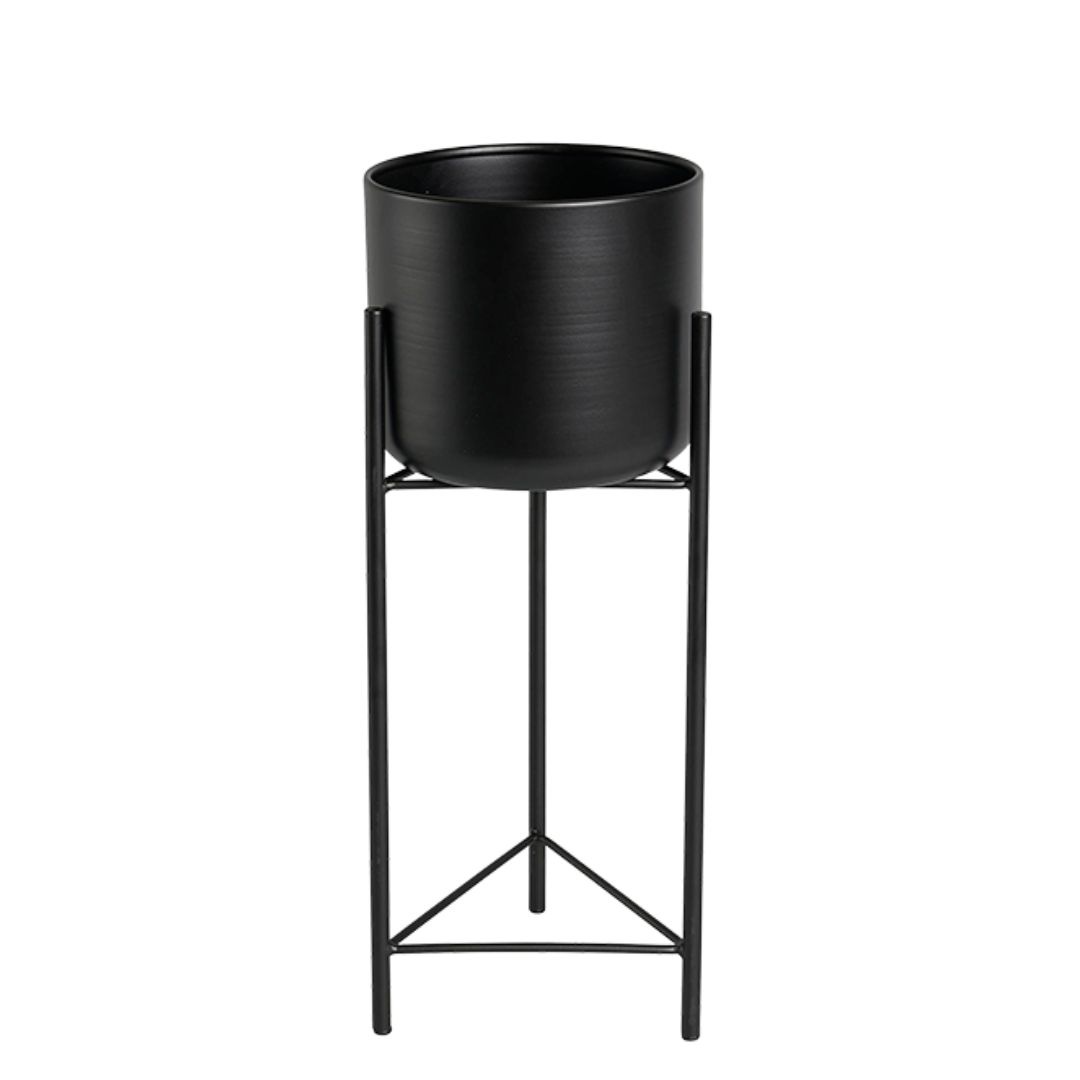 Pluma����������տ���ȭ��17cm-High��ȭ���С���5.5��