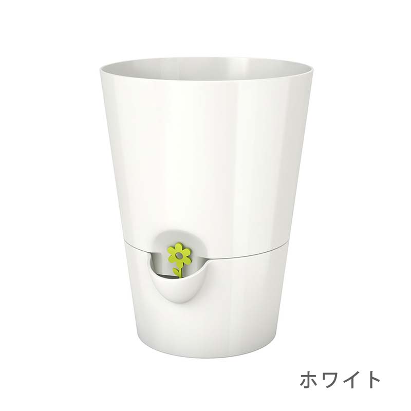 ưϡ֥ݥåȡ極ۥ磻