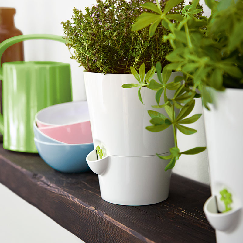 ưϡ֥ݥåȡ極ۥ磻