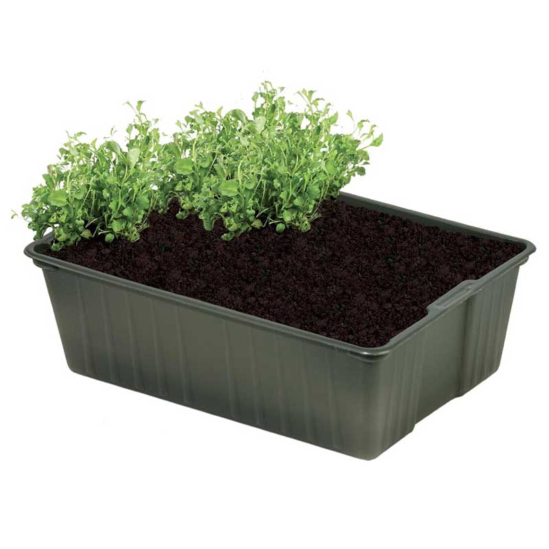 �ڤ˴Ԥ�Х����ݥåȡ��ȥ졼��5�ĥ��åȡ���ʬ������ȭ