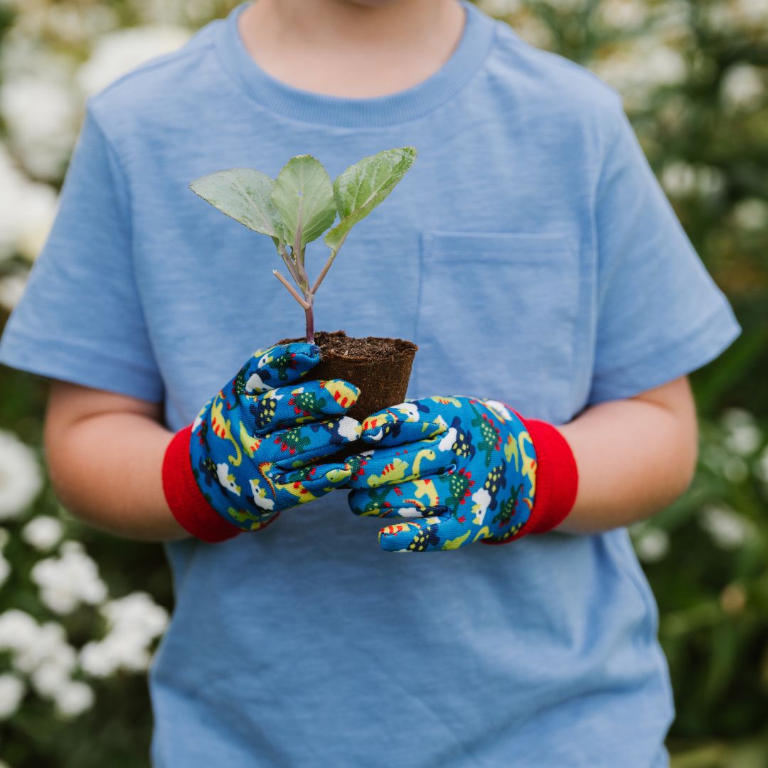 K&SҶѥǥ󥰥 ε֥롼