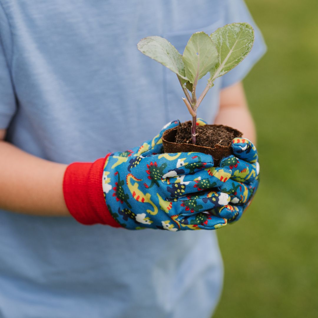 K&SҶѥǥ󥰥 ε֥롼