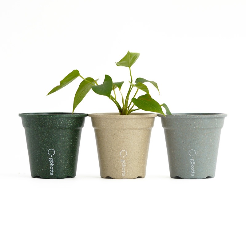 gokotta�������ݥåȡ�ȭ9.5��������������åȡ�����ɥۥ磻�ȡ���ʬ����