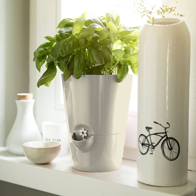 ưϡ֥ݥåȡ極륭졼