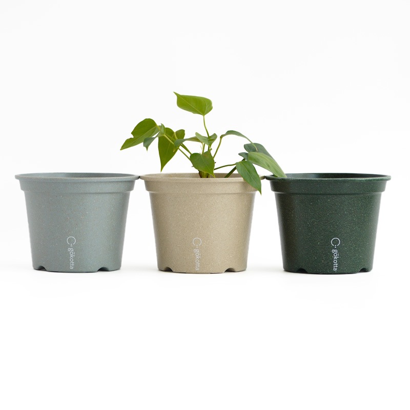 gokotta�������ݥåȡ�ȭ13.5��������������åȡ�����ɥۥ磻�ȡ���ʬ����