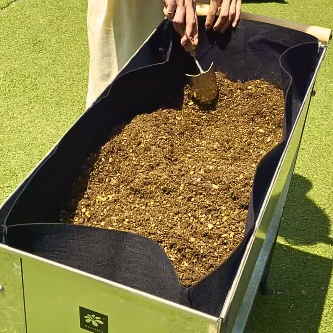 ưݥץ󥿡ȥ꡼若ѡʡեȥХå