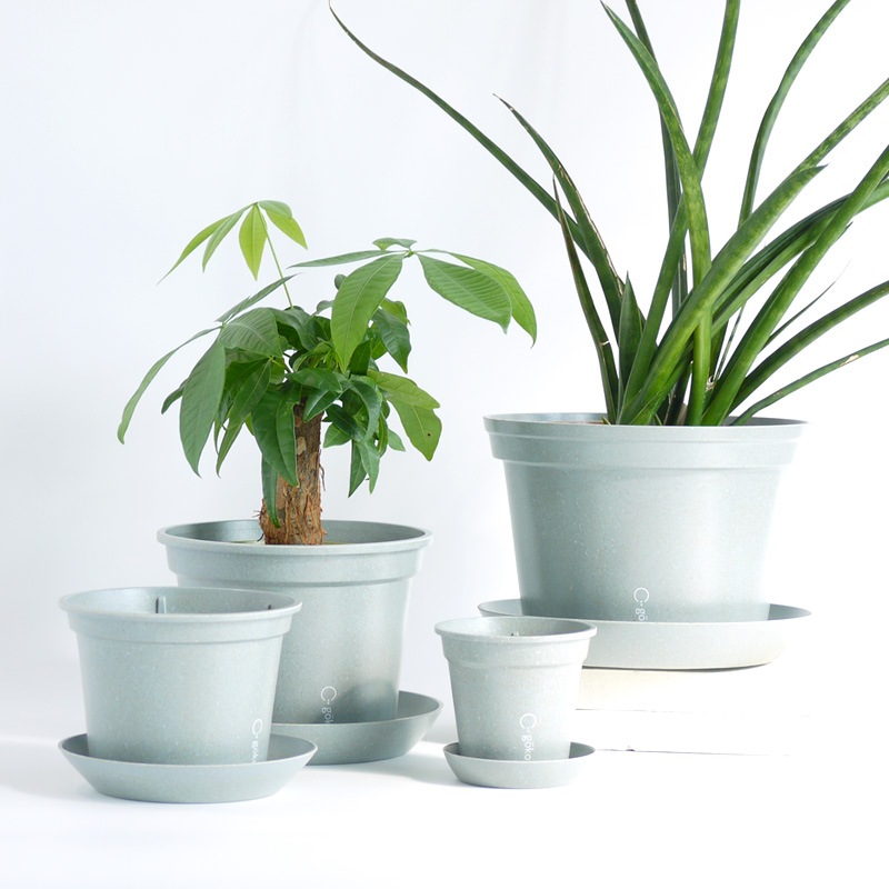 gokotta�������ݥåȡ�ȭ13.5��������������åȡ����ȡ���֥롼����ʬ����