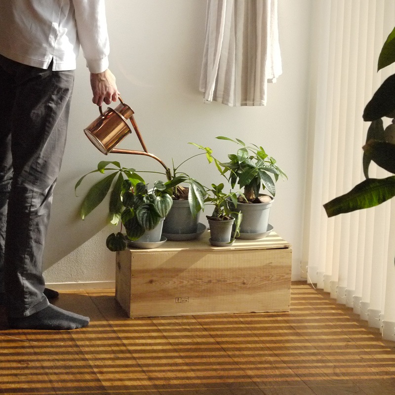 gokotta�������ݥåȡ�ȭ13.5��������������åȡ����ȡ���֥롼����ʬ����