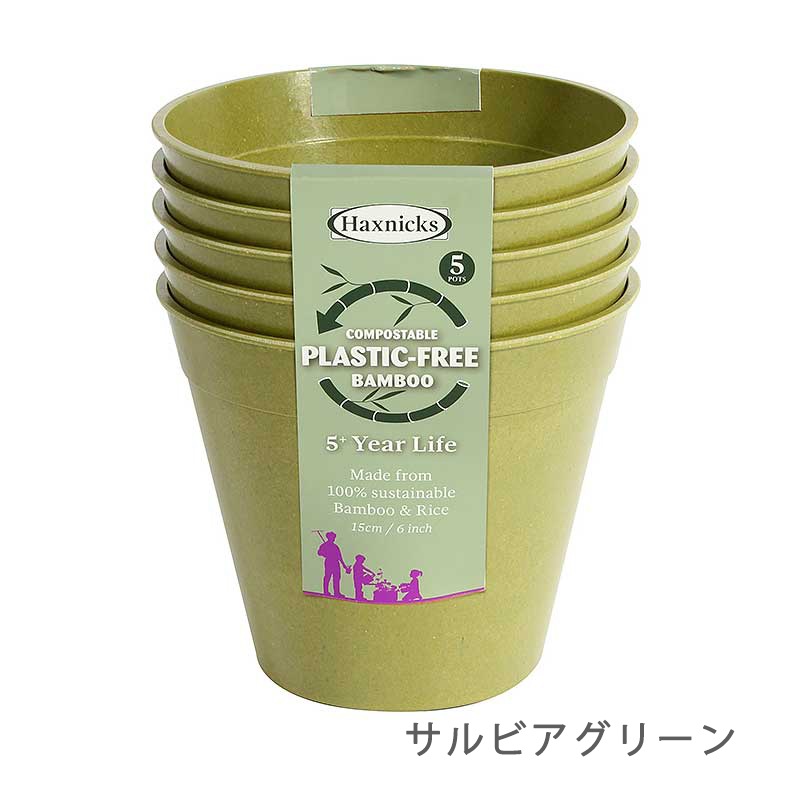 ڿʡȭ15cm5ĥåȡХ֡ݥåȡӥ꡼