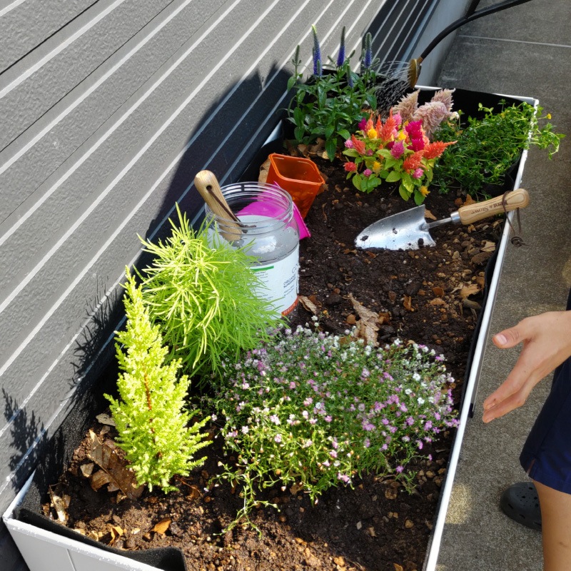 ������ǥ��󥰥ץ�󥿡�����������������ѡ�����ʡ��ե���ȥХå�