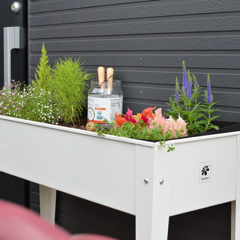 ������ǥ��󥰥ץ�󥿡�����������������ѡ�����ʡ��ե���ȥХå�