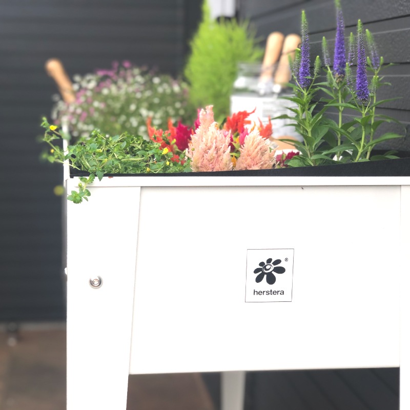 ������ǥ��󥰥ץ�󥿡�����������������ѡ�����ʡ��ե���ȥХå�