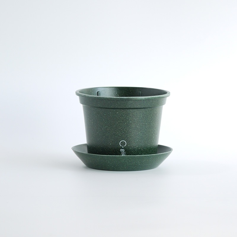 gokotta�������ݥåȡ�ȭ13.5��������������åȡ��ե��쥹�ȥ��꡼����ʬ����